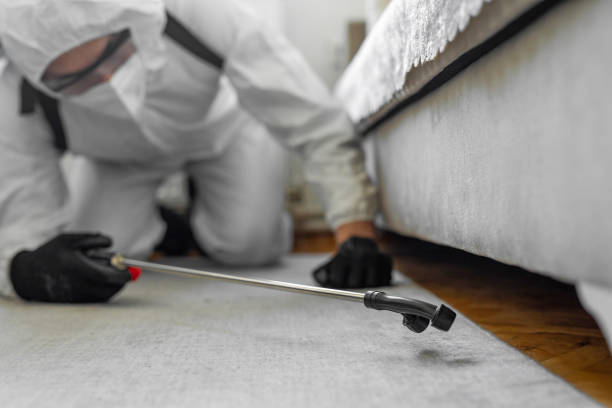 Professional Termite Control technician working in Harleigh, PA