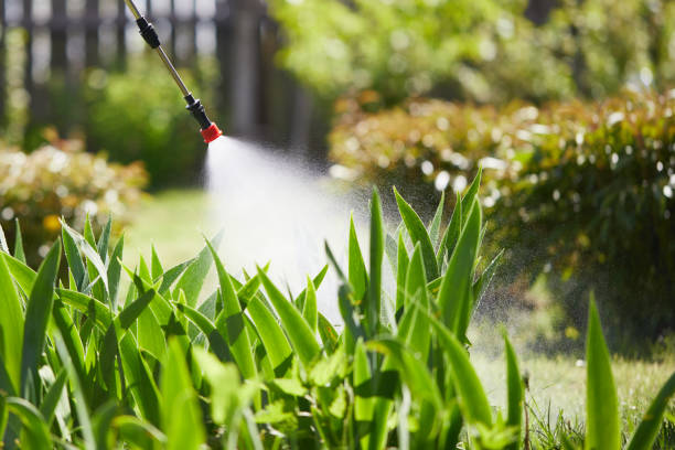 24/7 Emergency Termite Control experts in Harleigh, PA