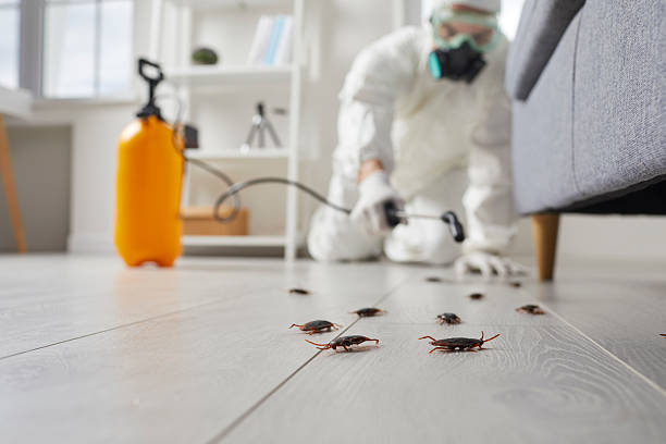 Trusted Rodent Control service in Harleigh, PA - Nex Pest Control