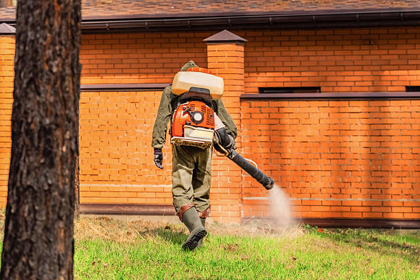 Trusted Cockroach Control service in Harleigh, PA - Nex Pest Control